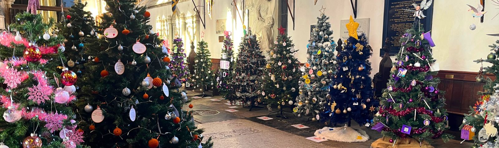 A Christmas Spark in Hull